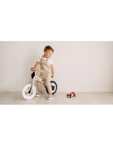 BN-LOE-WILLY_BUBBLEGUM,Lionelo - Bicicleta fara pedale Willy Bubblegum, Cu tablita de scris, Cu roti din spuma EVA 12”, Alb/Roz