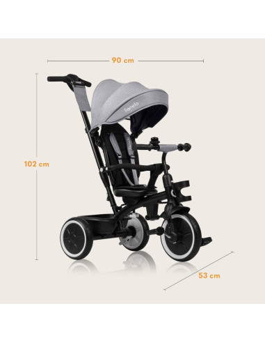 BN-LO-BERRY_GREY_STONE,Tricicleta copii, Lionelo, Berry, 2 in 1, Multifunctionala, Suport picioare, Control al directiei, Scaun 