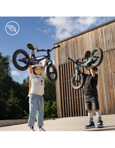 BN-LO-BART_PURPLE_AMETHYST,Bicicleta fara pedale, Lionelo, Bart, Usoara, Cu cadru din magneziu, Cu ghidon si sa reglabile, Greut