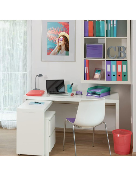 ES628435,Caiet mecanic a4 2 inele 25mm/32mm coperta flexibila corai colour'breeze esselte