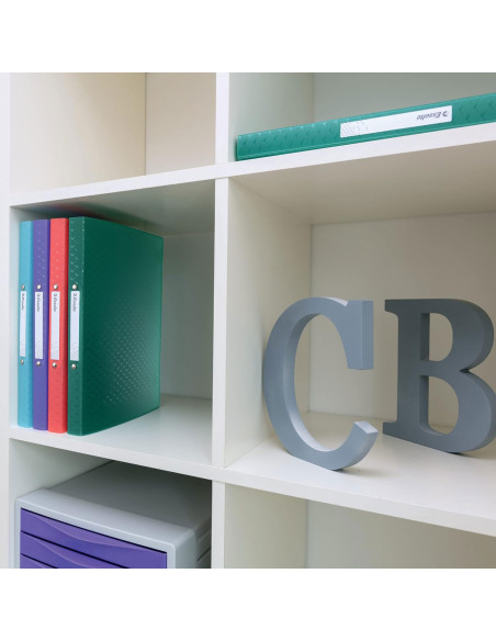 ES628436,Caiet mecanic a4 2 inele 25mm/32mm coperta flexibila lavanda colour'breeze esselte