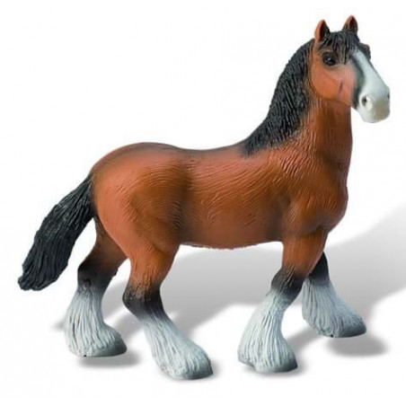 Armasar Shire,BL4007176626665