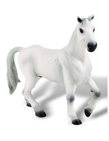 Cal Oldenburger alb,BL4007176626740