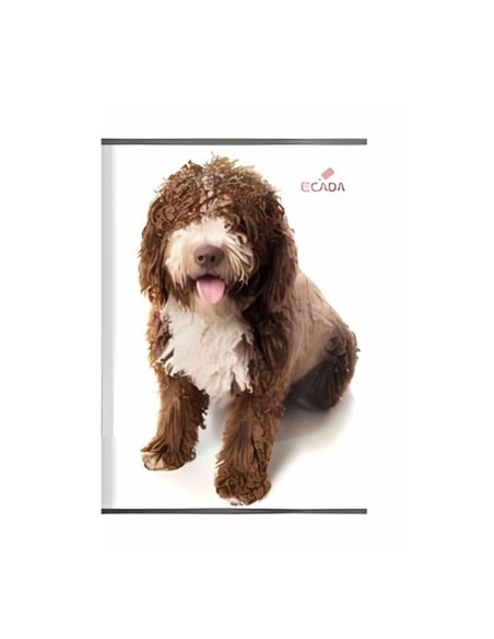 Caiet velin A5  Ecada 29548, 48 file