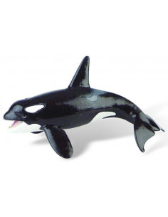 Balena Orca
