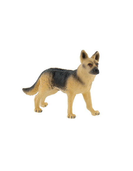 Caine Ciobanesc German Rex,BL4007176654484 Caine Ciobanesc German Rex,BL4007176654484