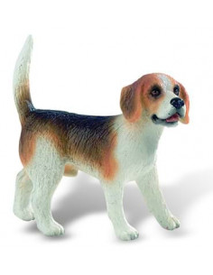 Caine rasa "BEAGLE",BL4007176654248