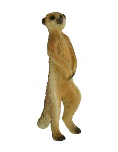 Meerkat,BL4007176644539