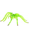 Paianjen verde Micrommata,BL4007176684559