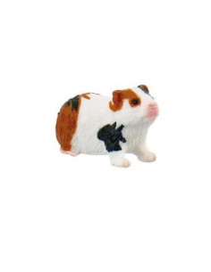 Porcusor de Guinea,BL4007176646137