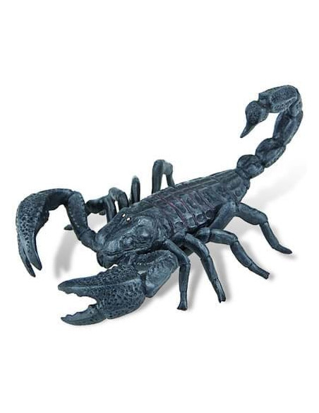 Scorpion,BL4007176683897