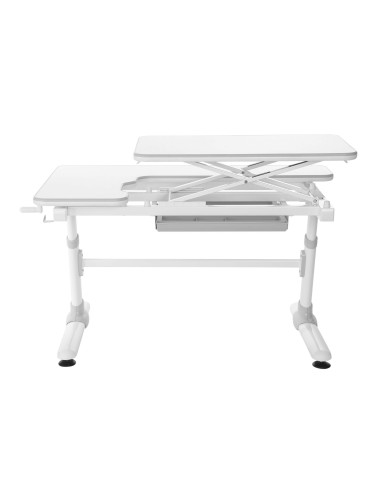 E505-GREY,Birou IT ergonomic Sit-Stand (sezut-in picioare), E505, Gri-Protecție Pardosea CADOU!