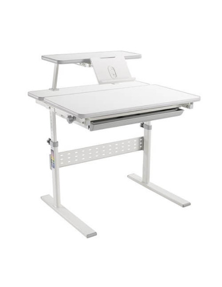 E202S,Birou ergonomic ajustabil ErgoK LUNA cu sertar compartimentat și raft detașabil