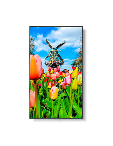 60005061,Display NEC 65" MultiSync® M651, UHD 3840 x 2160, 500cd/m2 E-LED backlight, 24/7