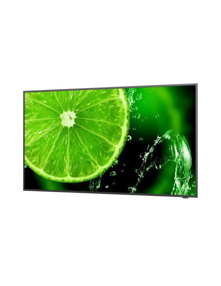 60005045,Display 32" NEC MultiSync E438, UHD 3840 x 2160, IPS with Direct LED backlights, 350 cd/m²