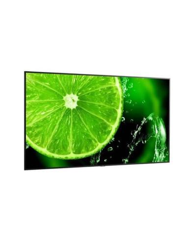 60005157,Display 75" NEC MultiSync® E758, UHD, IPS with Direct LED backlights, 400 cd/m², 18/7, media player