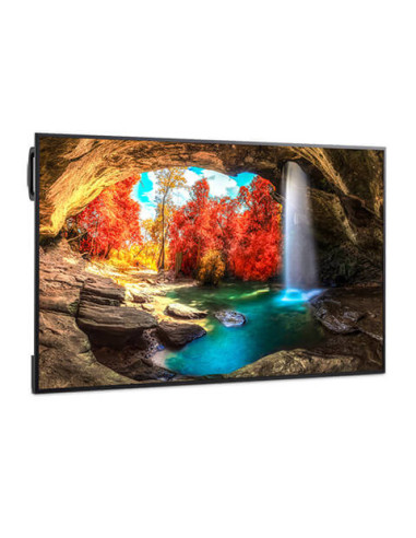 60005924,Display LED 65" NEC MultiSync® ME652, UHD, IPS with Direct LED backlights, 450 cd/m², 18/7, media player, Android 13