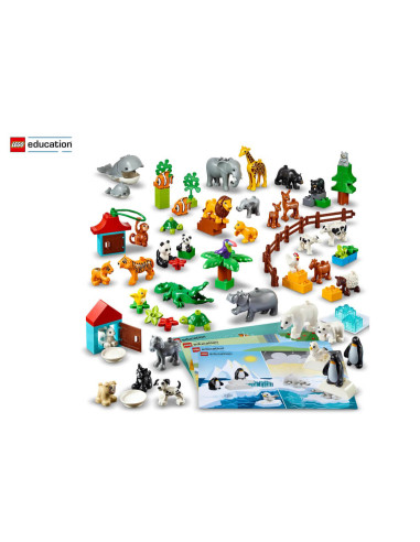 45029,45029 LEGO® Duplo Animale, 90 bucati