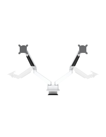 7350073733989,Suport monitor Dual Multibrackest MB-3989, 15"-32", max 10 kg per monitor, alb