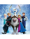 Frozen - Accesorii scoala si gradinita, Fete si Baieti, ghiozdane, penare, rechizite, Anna, Elsa, Olaf, Hans