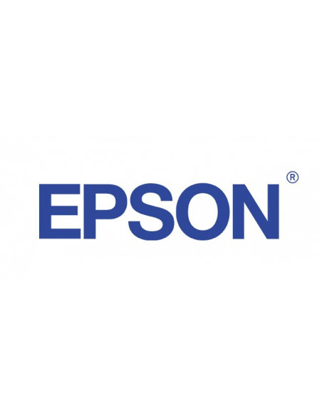 Tonere Epson originale