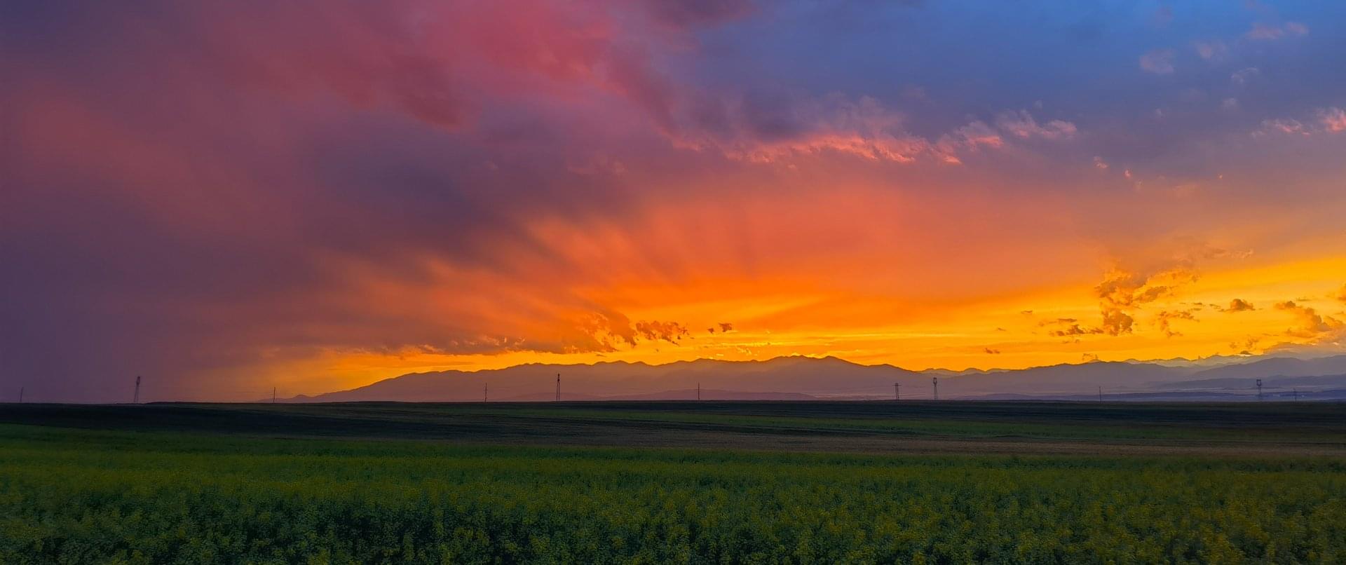 HUAWEI P50 Pro True Chroma Shot Wide P3 Colour Gamut Adjustment