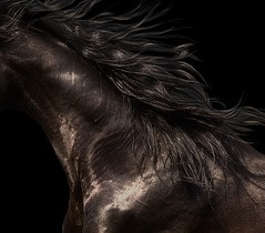 res_9be07a53e7f79b8c31b19bb8f9ba7fca.jpg